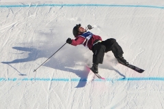 Milan Cortina Olympics Freestyle Skiing