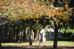 campus-fall-59
